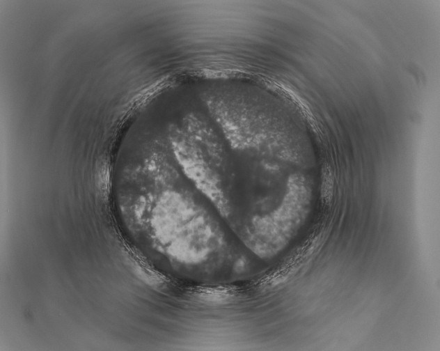 X0000112000405200908311118