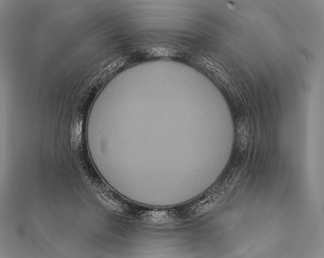 X0000112000406200908311118