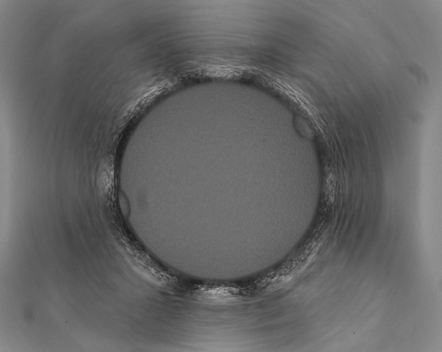 X0000112000407200908311118