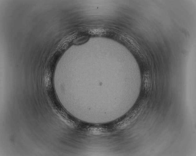 X0000112000408200908311118