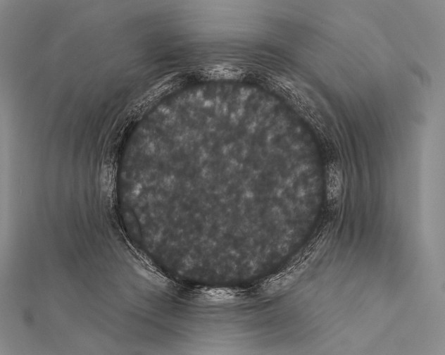 X0000112000409200908311118