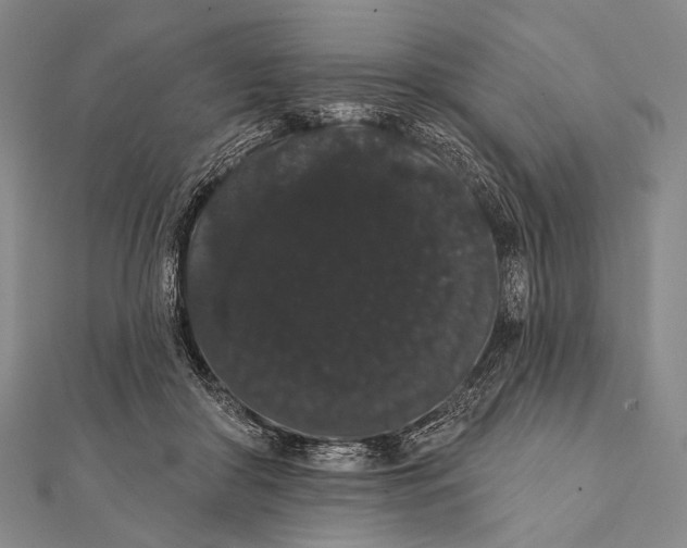 X0000112000410200908311118