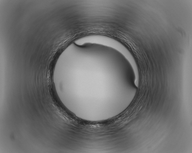 X0000112000411200908311118