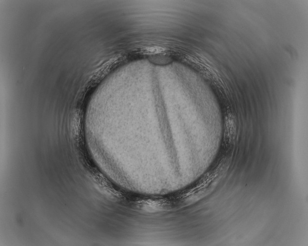 X0000112000412200908311118