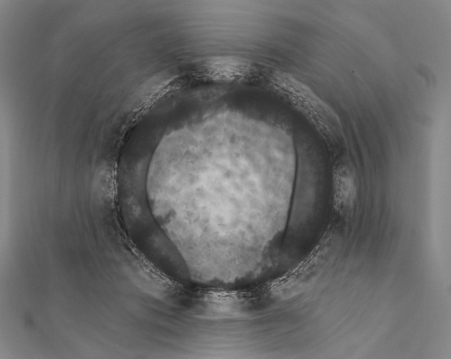 X0000112000413200908311118