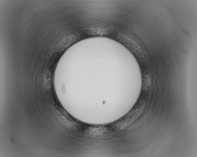 X0000112000414200908311118