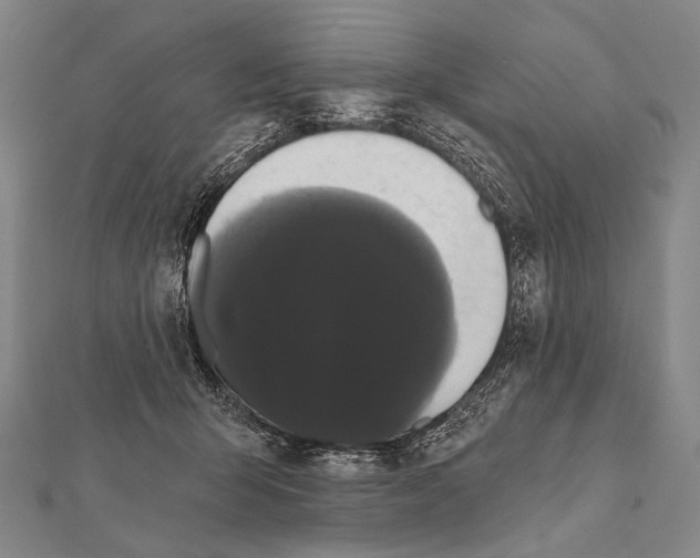 X0000112000415200908311118