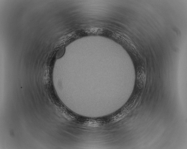 X0000112000416200908311118