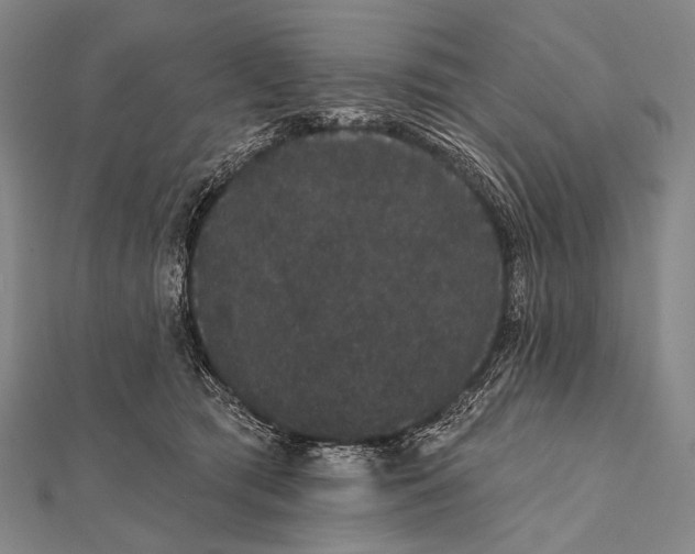 X0000112000417200908311118