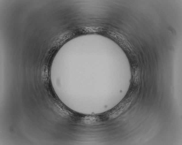 X0000112000418200908311118