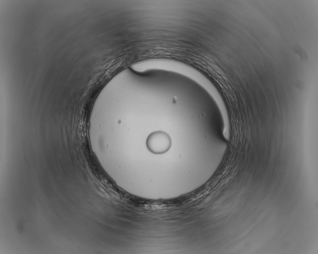 X0000112000419200908311118