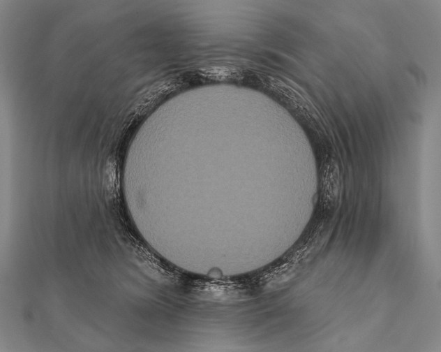 X0000112000420200908311118