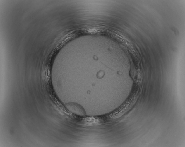 X0000112000421200908311118