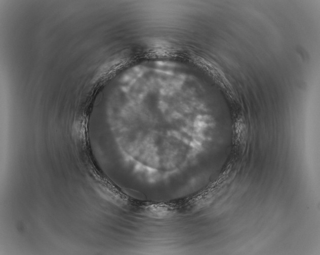 X0000112000423200908311118