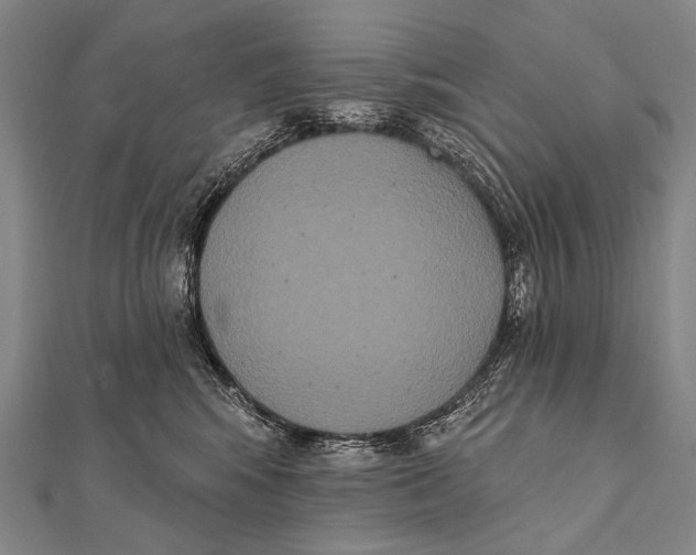 X0000112000424200908311118