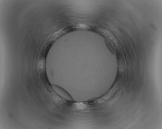 X0000112000425200908311118