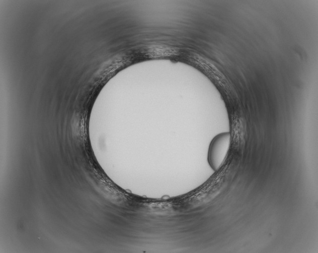 X0000112000426200908311118