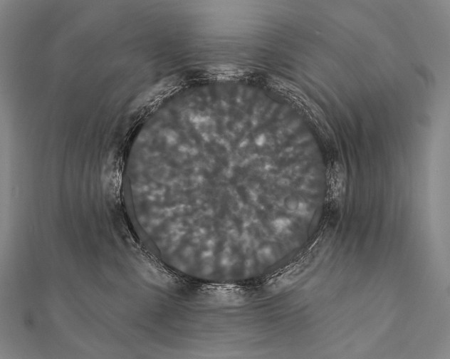 X0000112000427200908311118