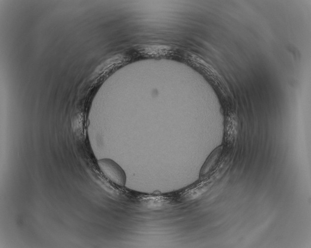 X0000112000428200908311118