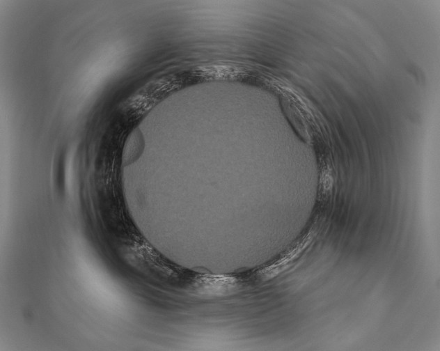 X0000112000429200908311118