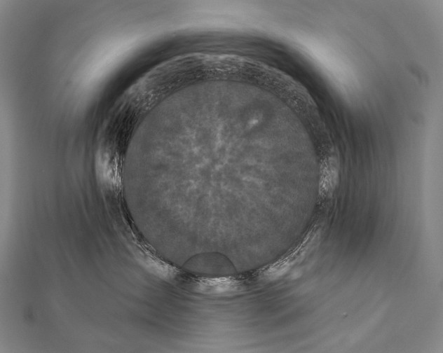 X0000112000431200908311118