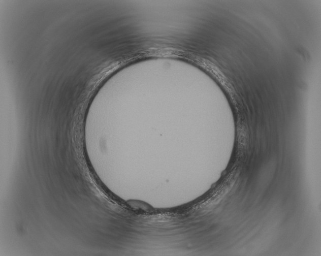 X0000112000433200908311117