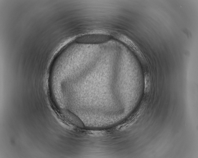 X0000112000436200908311117