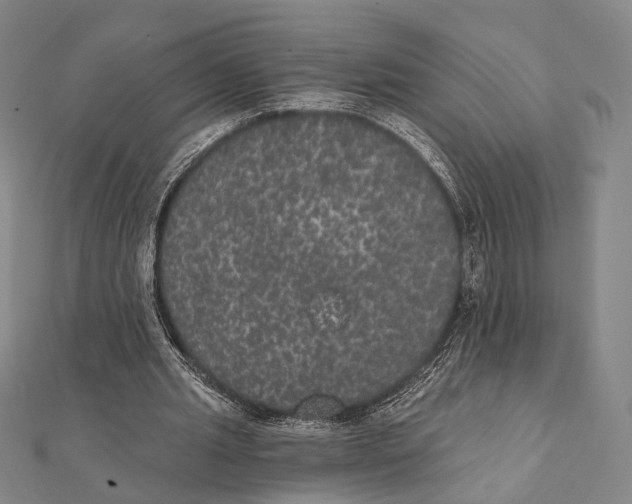 X0000112000437200908311117