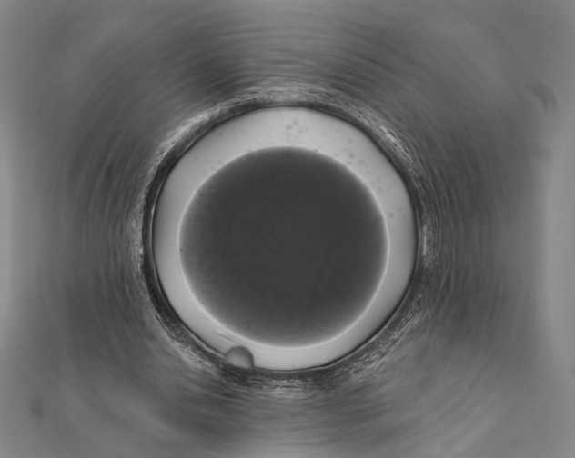 X0000112000438200908311117