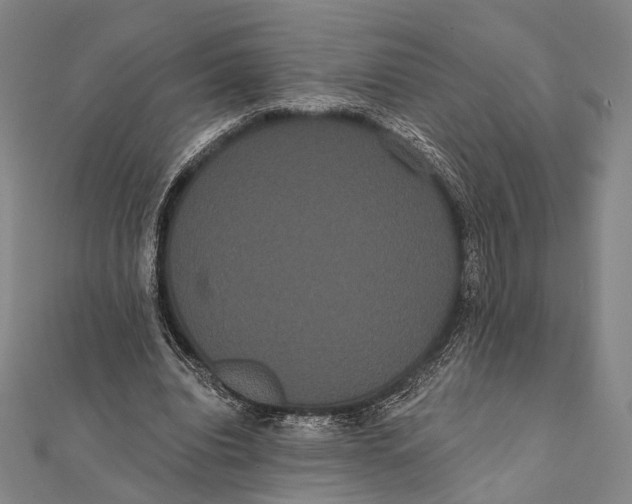 X0000112000440200908311117