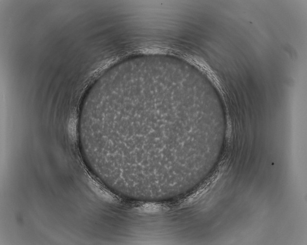 X0000112000441200908311117