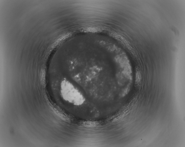 X0000112000444200908311117