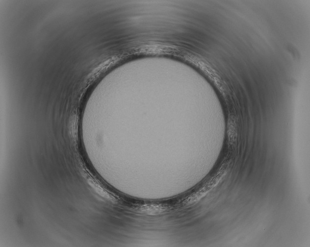 X0000112000445200908311117