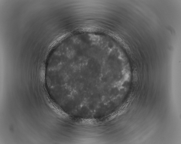 X0000112000446200908311117