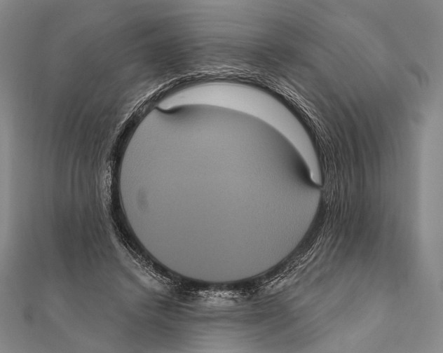 X0000112000448200908311117