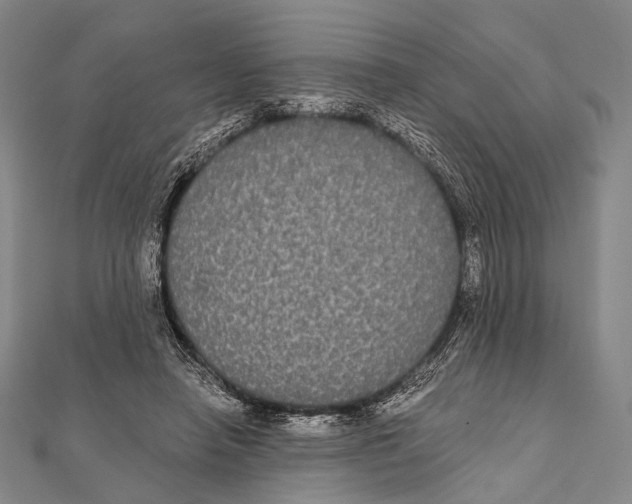 X0000112000450200908311117