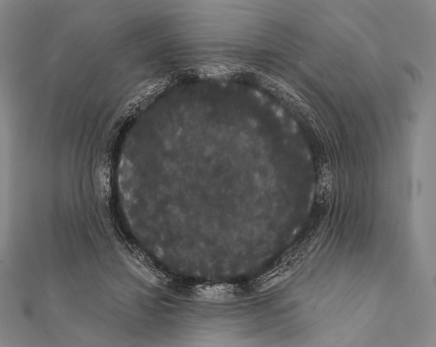 X0000112000452200908311117