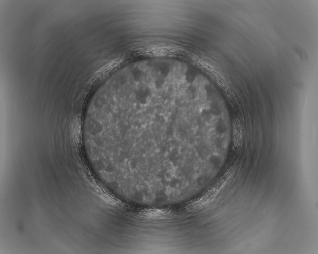 X0000112000453200908311117