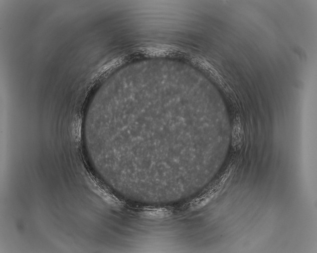 X0000112000454200908311117