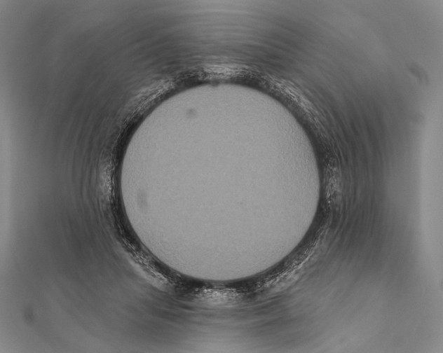 X0000112000455200908311117