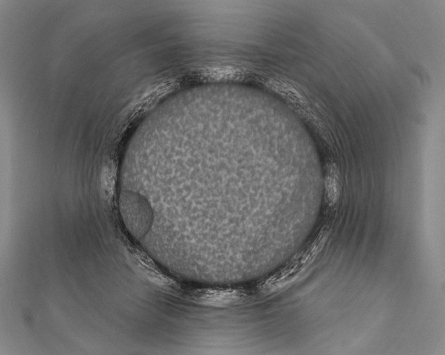 X0000112000458200908311117