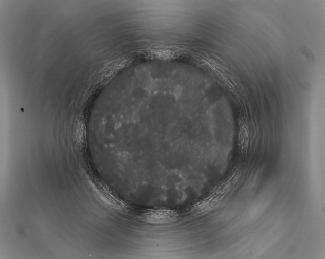 X0000112000459200908311117