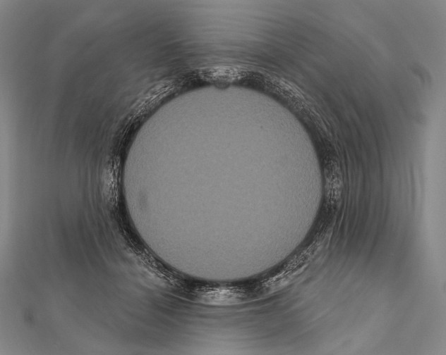 X0000112000460200908311118