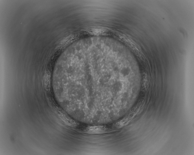 X0000112000461200908311118