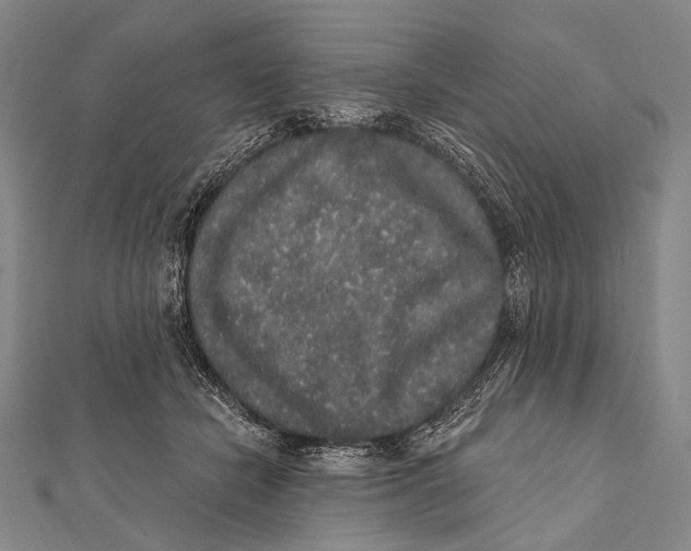 X0000112000462200908311118