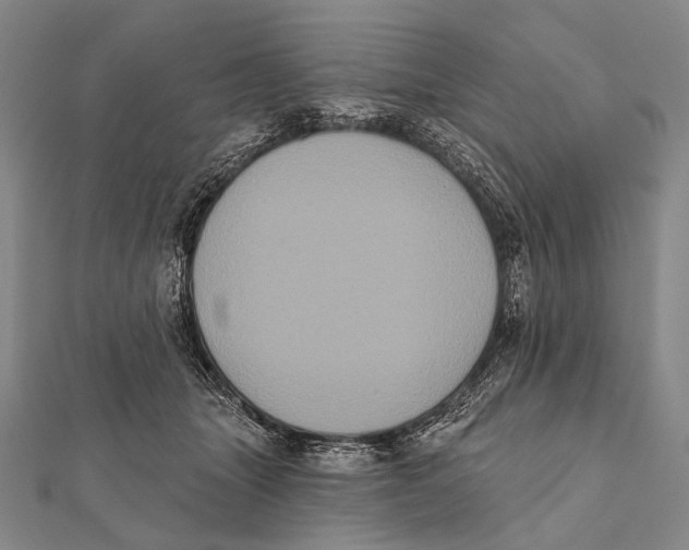 X0000112000463200908311118