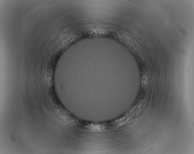 X0000112000464200908311118