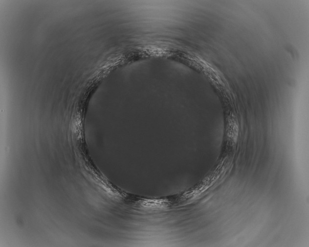 X0000112000465200908311118