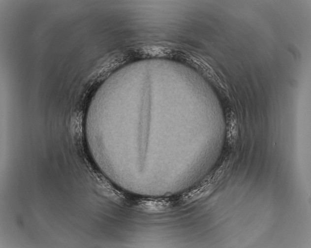 X0000112000466200908311118