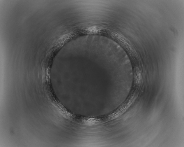 X0000112000467200908311118